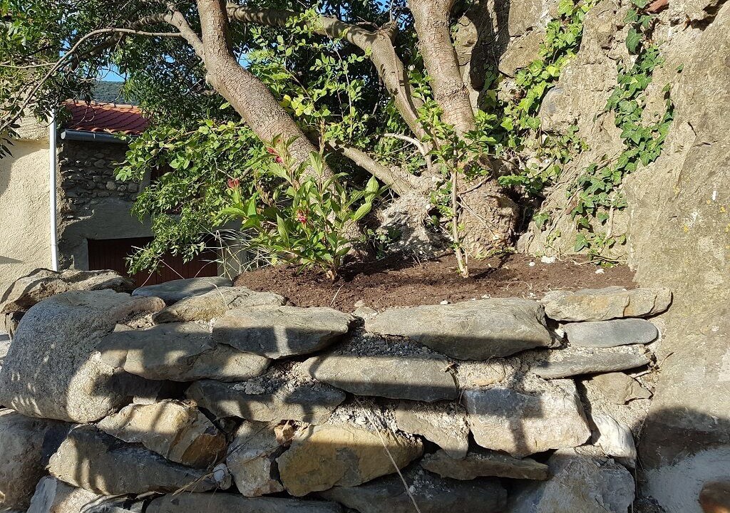 Photo of Outdoor in Caudies-de-Fenouilledes