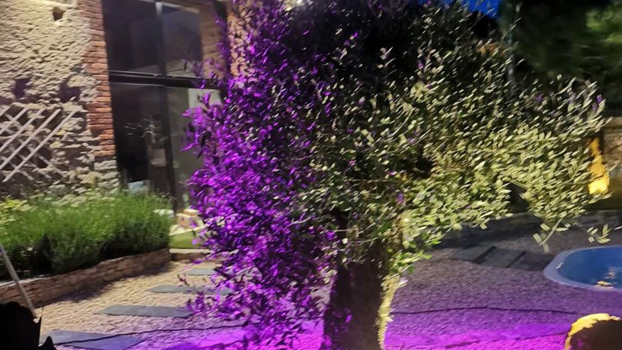 Photo of Outdoor in Cognat-Lyonne