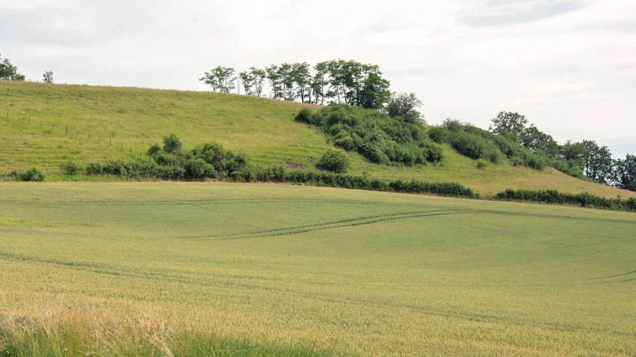 Photo of Others in Cognat-Lyonne