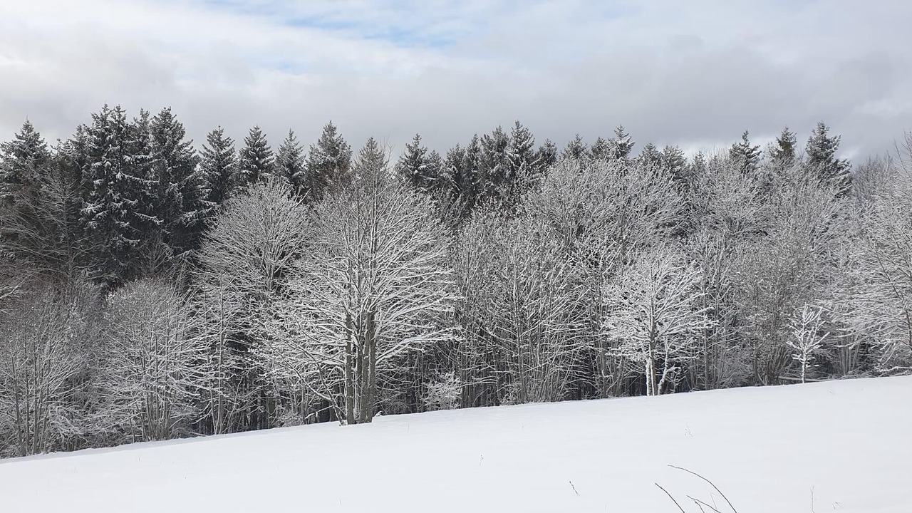 Photo of Others in Rothau