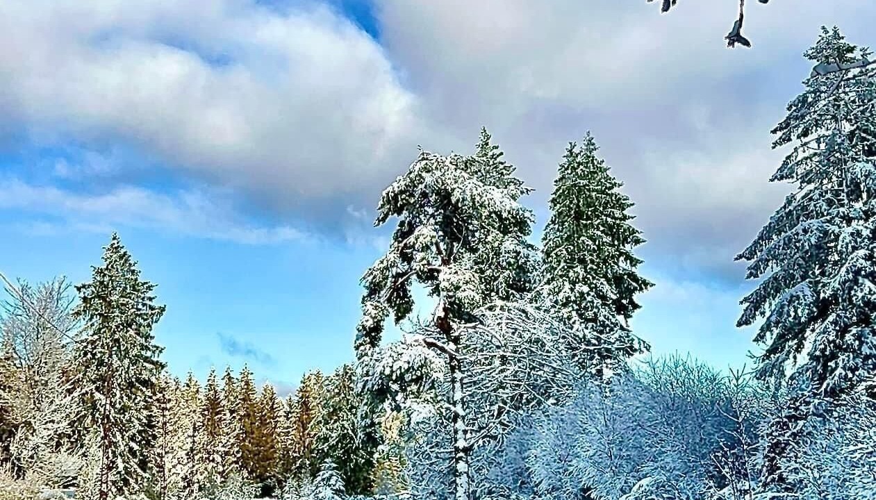 Photo of Outdoor in Rothau