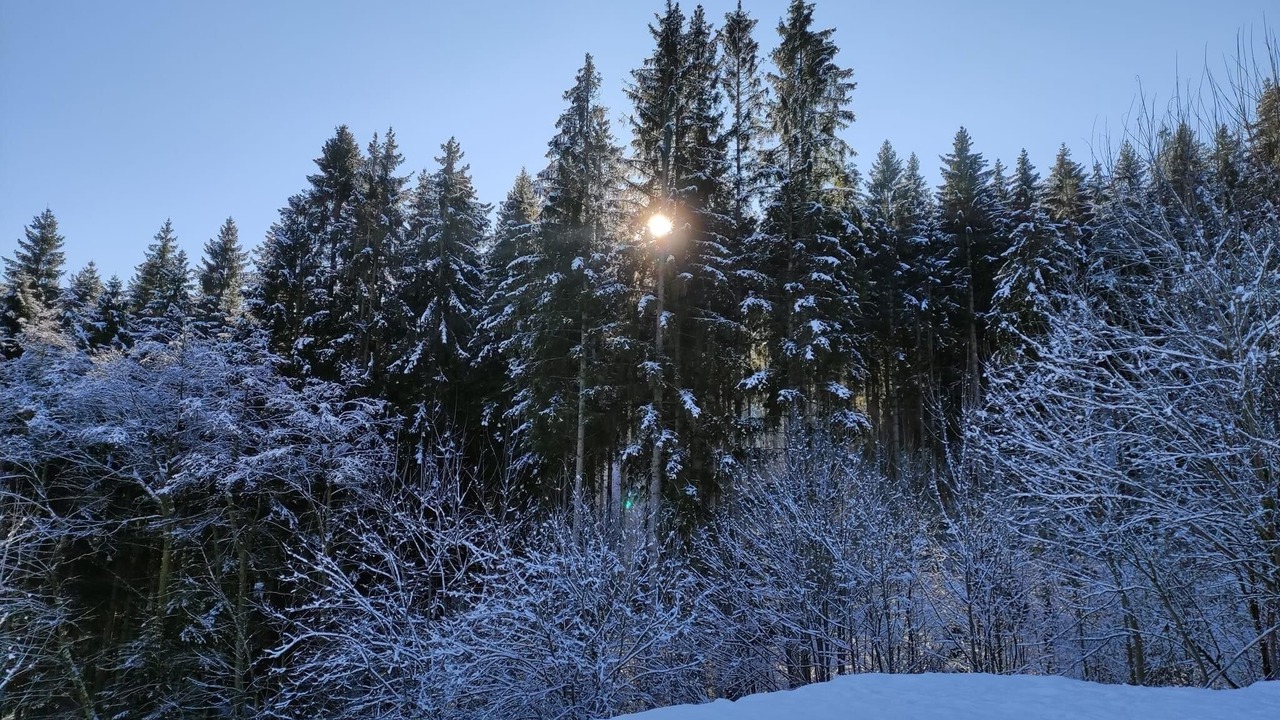 Photo of Others in Rothau