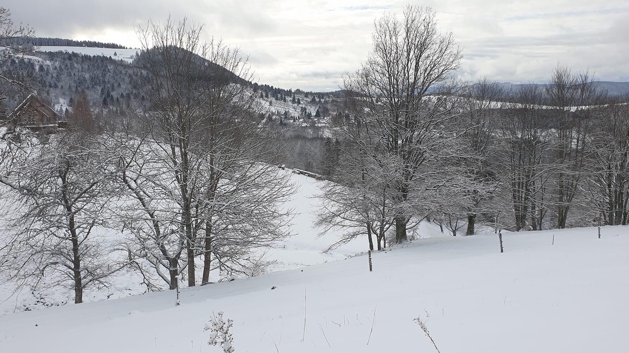 Photo of Others in Rothau