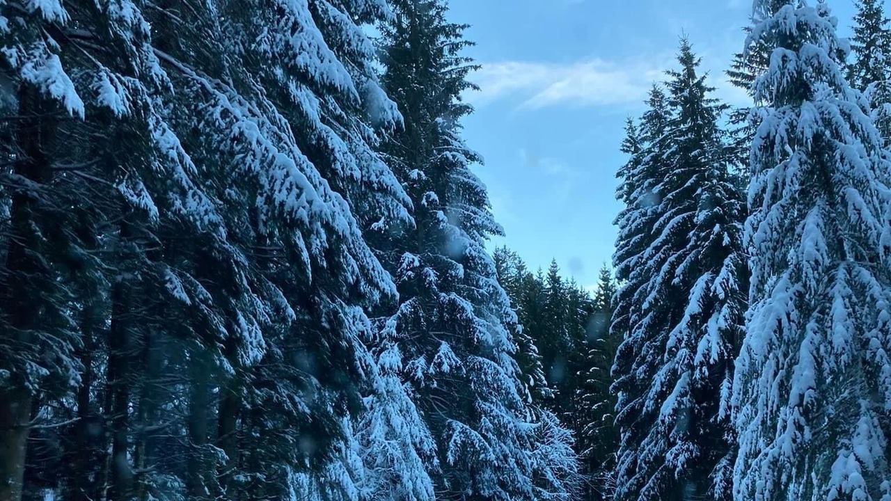 Photo of Others in Rothau