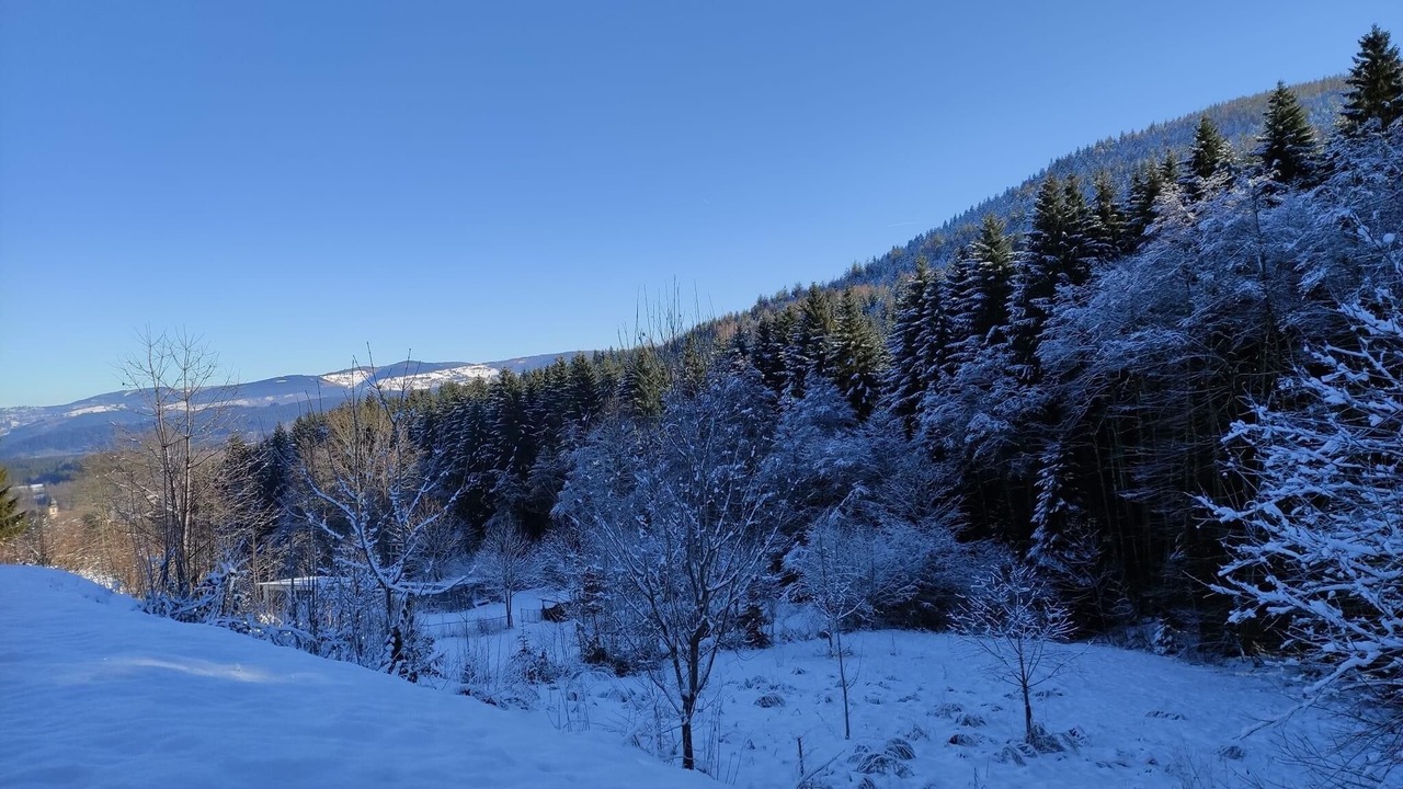 Photo of Others in Rothau