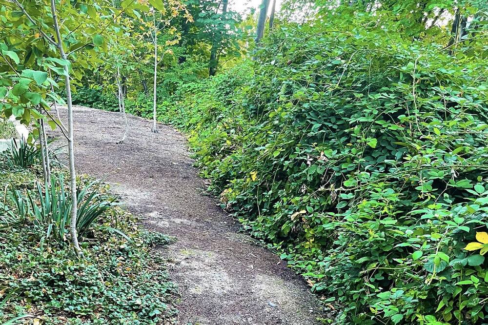 Photo of Outdoor in Portland