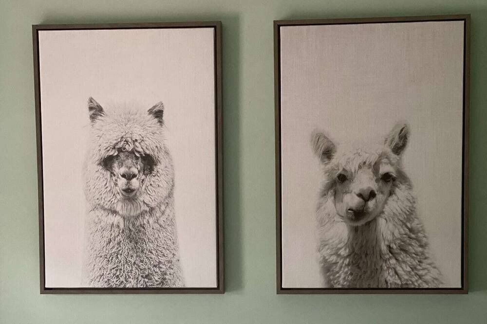 Photo of Bedroom in Prattsville