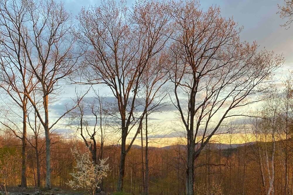 Photo of Outdoor in Prattsville