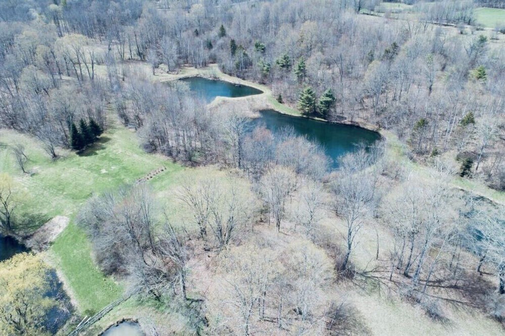 Photo of Outdoor in Braintree