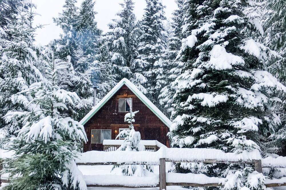 Photo of Others in Packwood