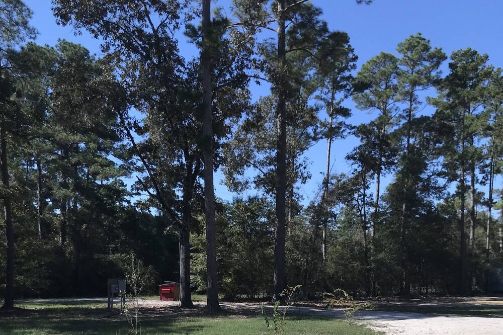 Photo of Others in Waller
