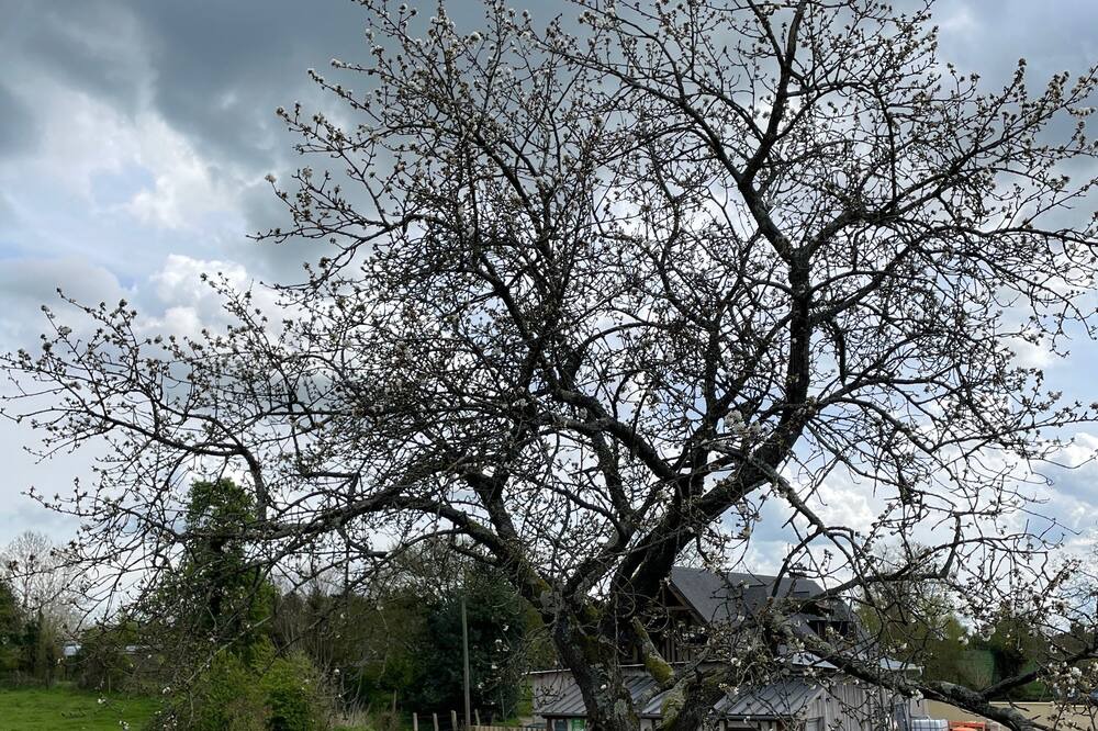 Photo of Outdoor in Genneville