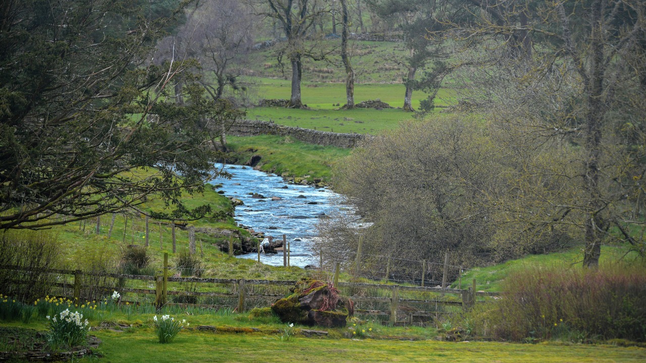 Photo of Outdoor in Alston