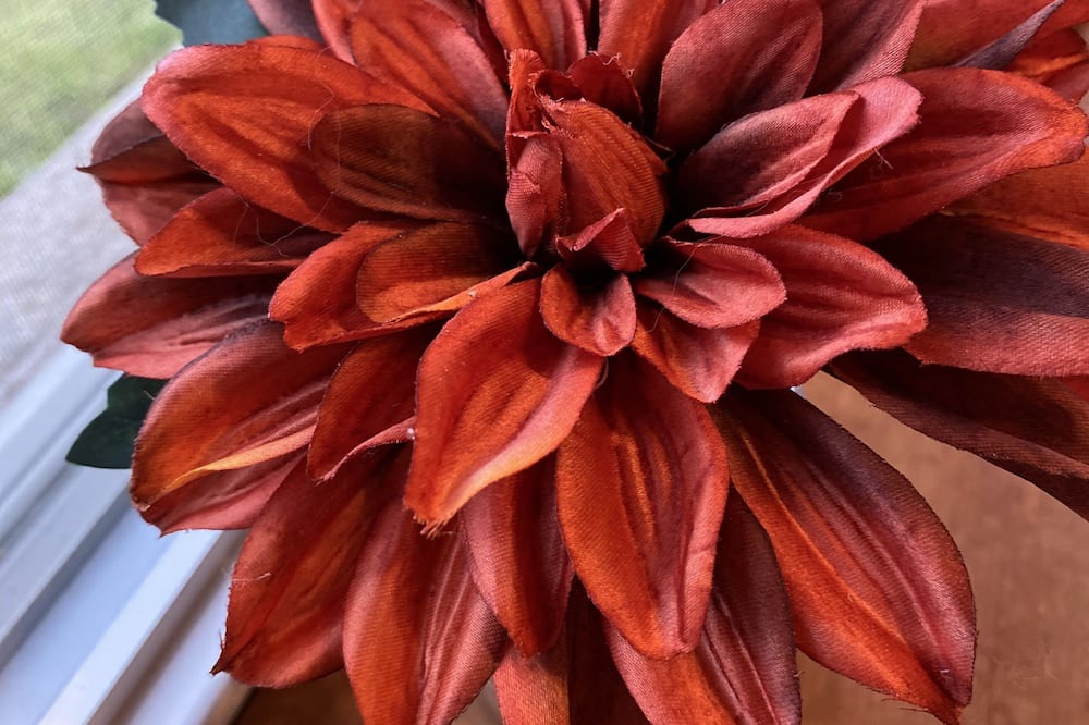 Photo of Others in Oneonta