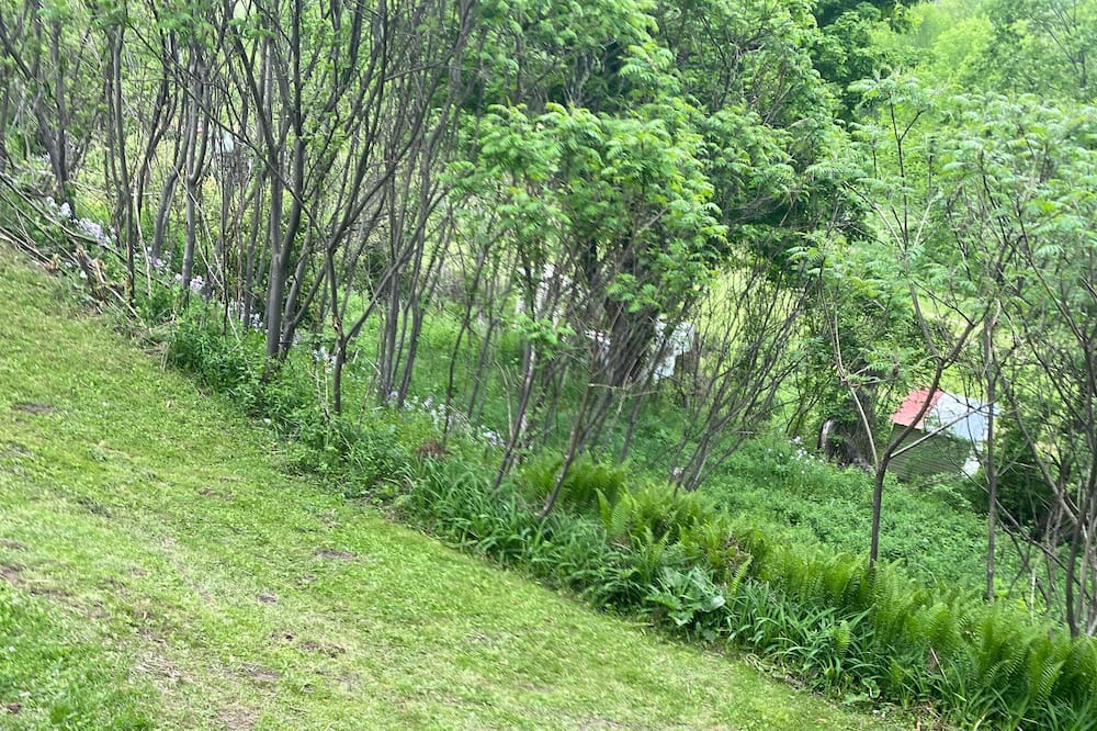 Photo of Outdoor in Oneonta