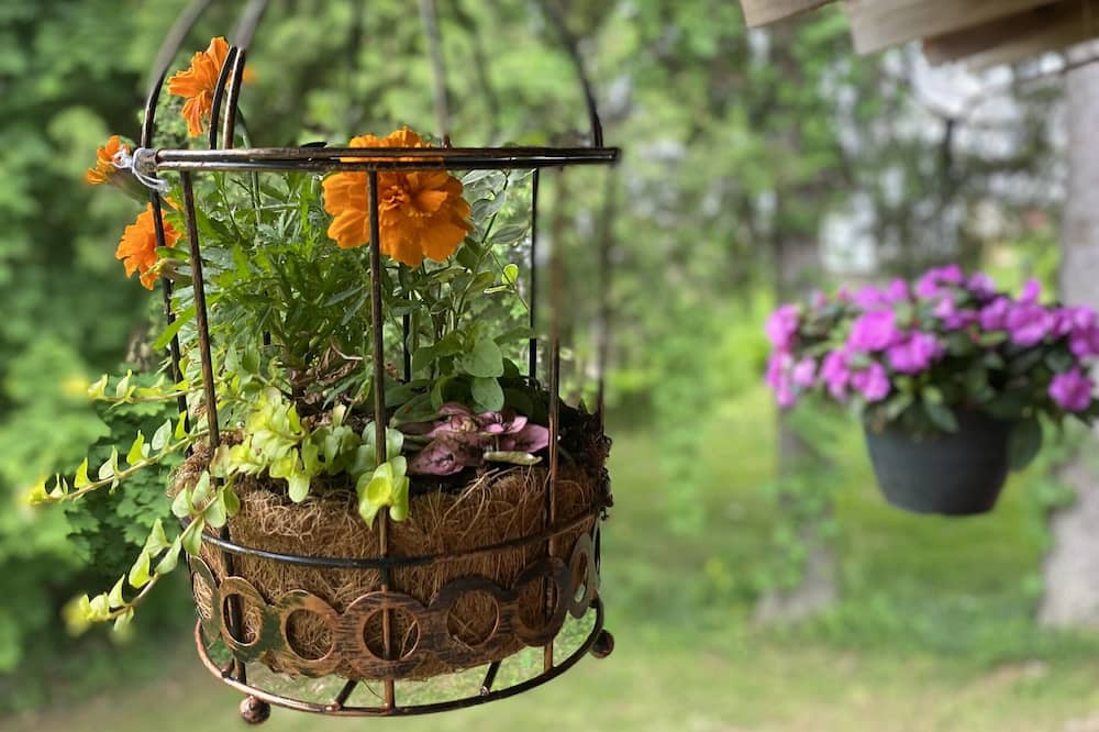 Photo of Outdoor in Oneonta