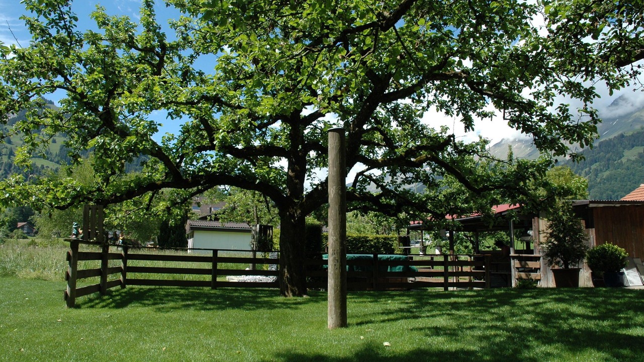 Photo of Outdoor in Frutigen