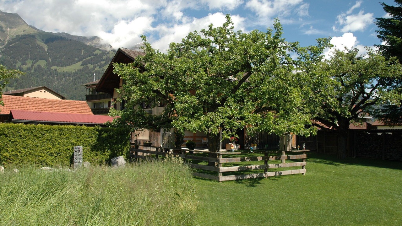 Photo of Outdoor in Frutigen