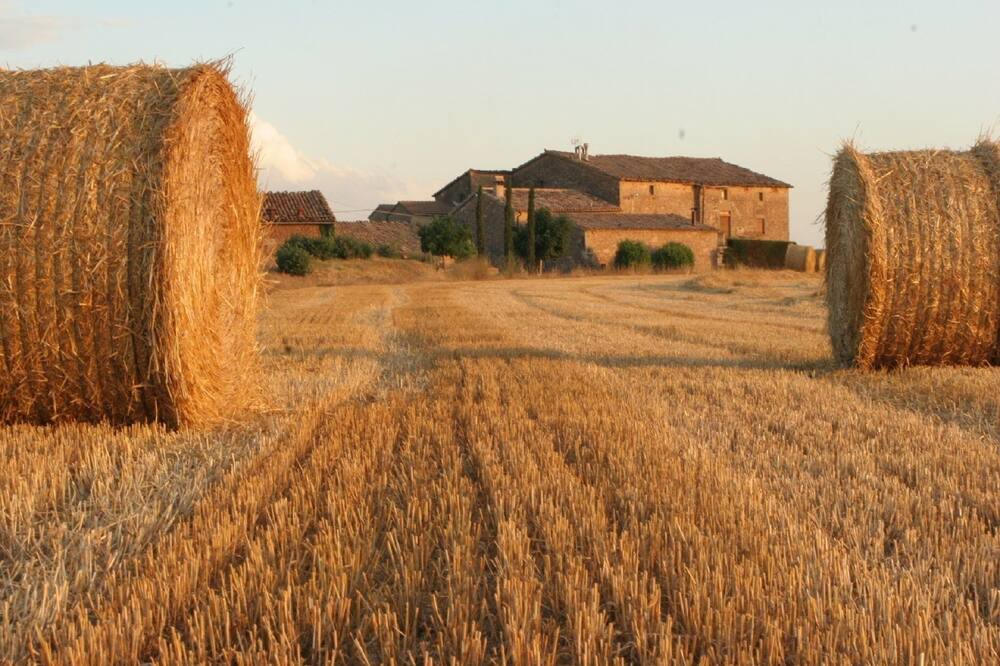 Photo of Others in Gargalla