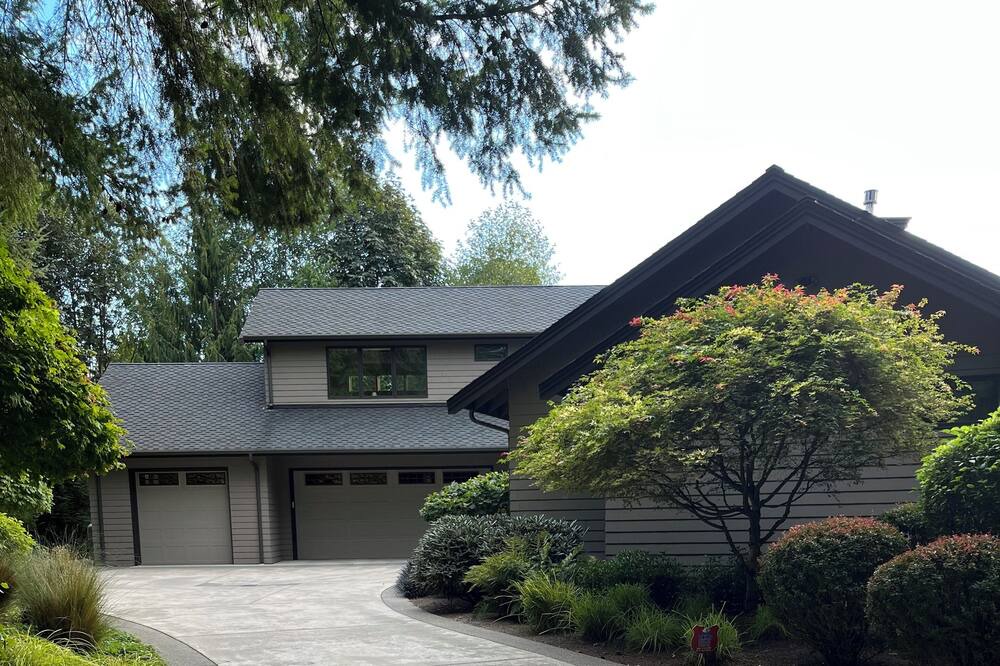 Photo of Others in Kingston