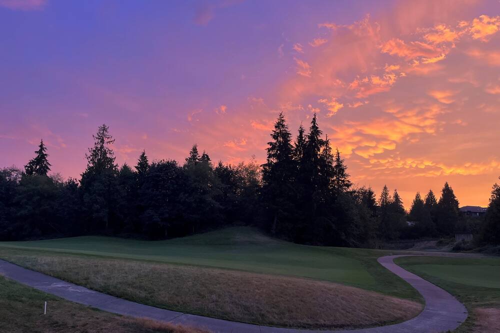 Photo of Others in Kingston