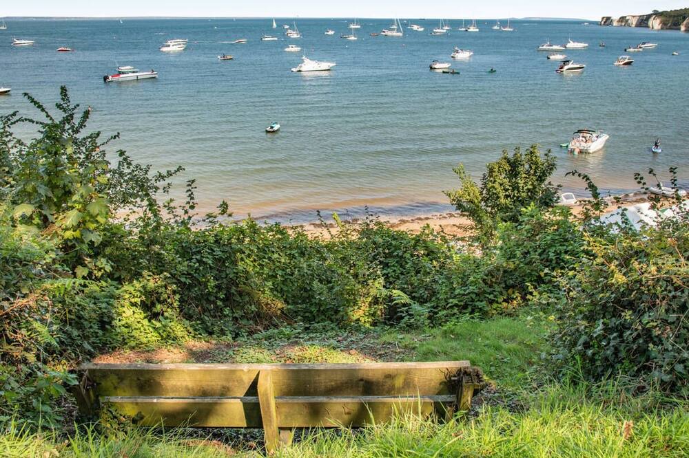 Photo of Others in Studland