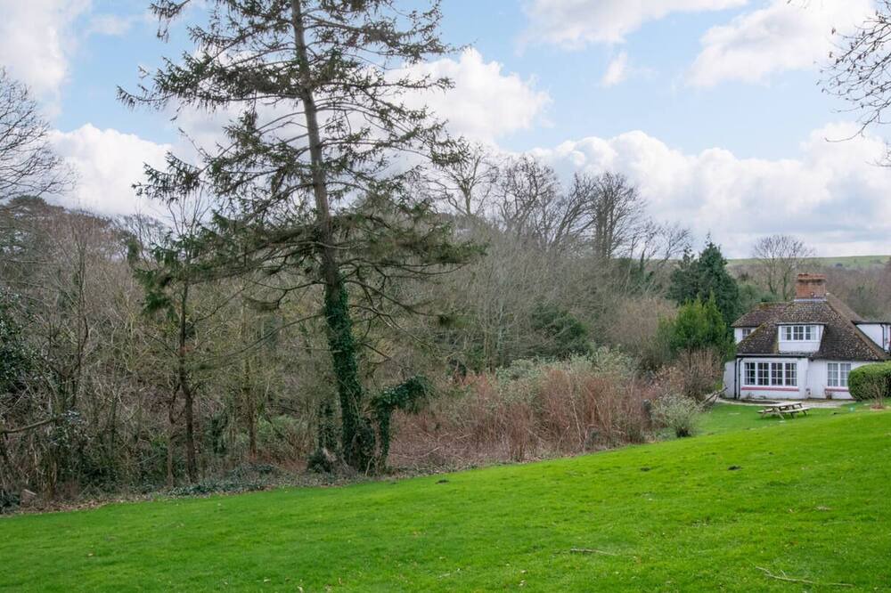 Photo of Outdoor in Studland