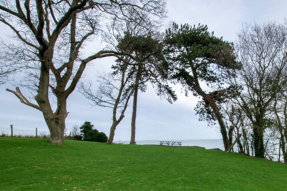 Photo of Outdoor in Studland