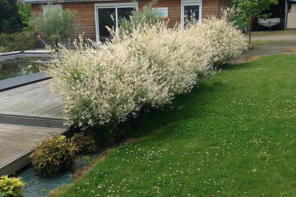 Photo of Outdoor in Sains