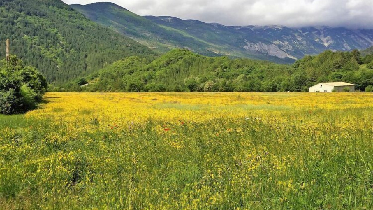 Photo of Outdoor in Savoillan