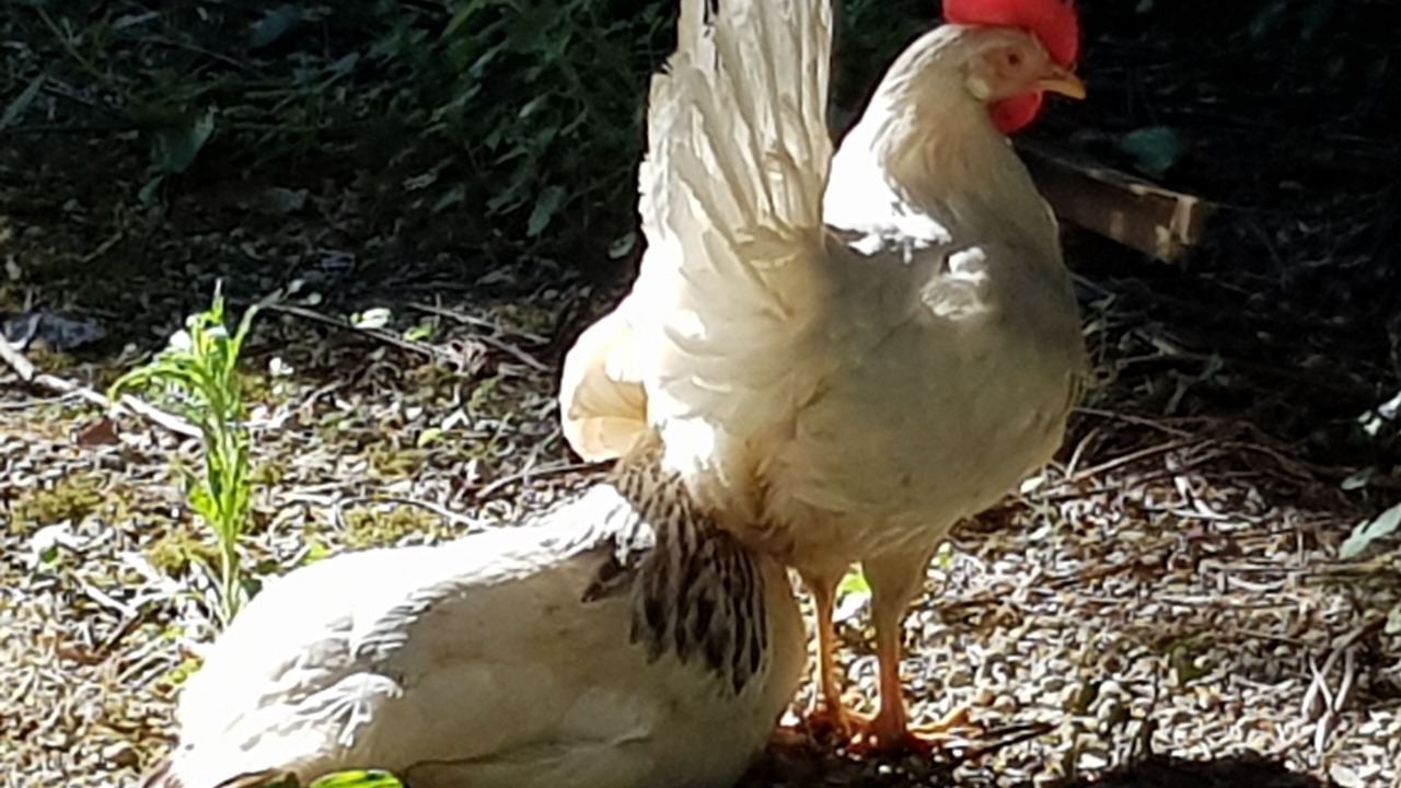 Photo of Outdoor in Pezens