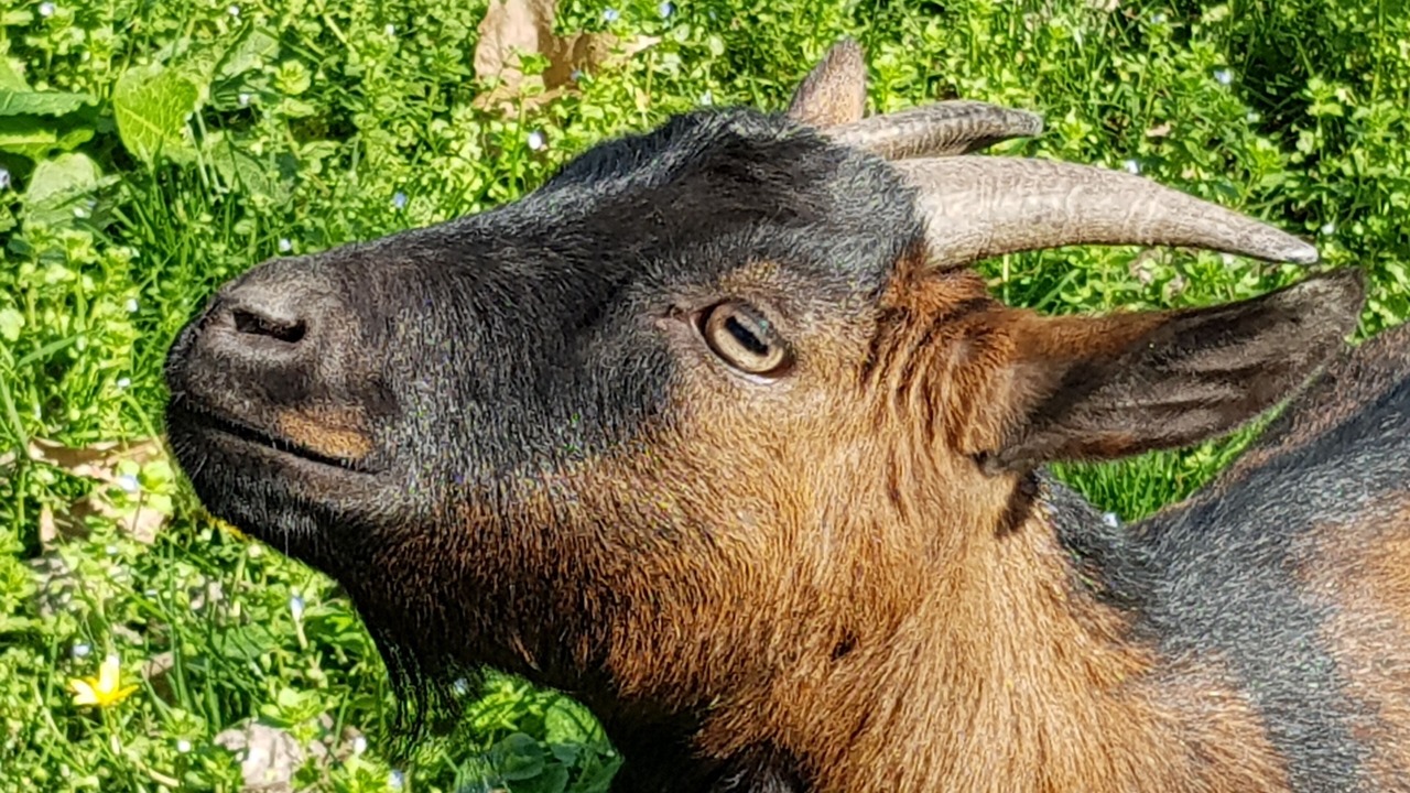 Photo of Outdoor in Pezens