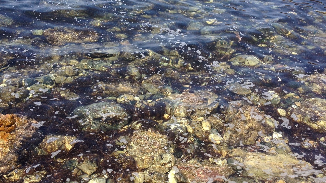 Photo of Others in Pozzo