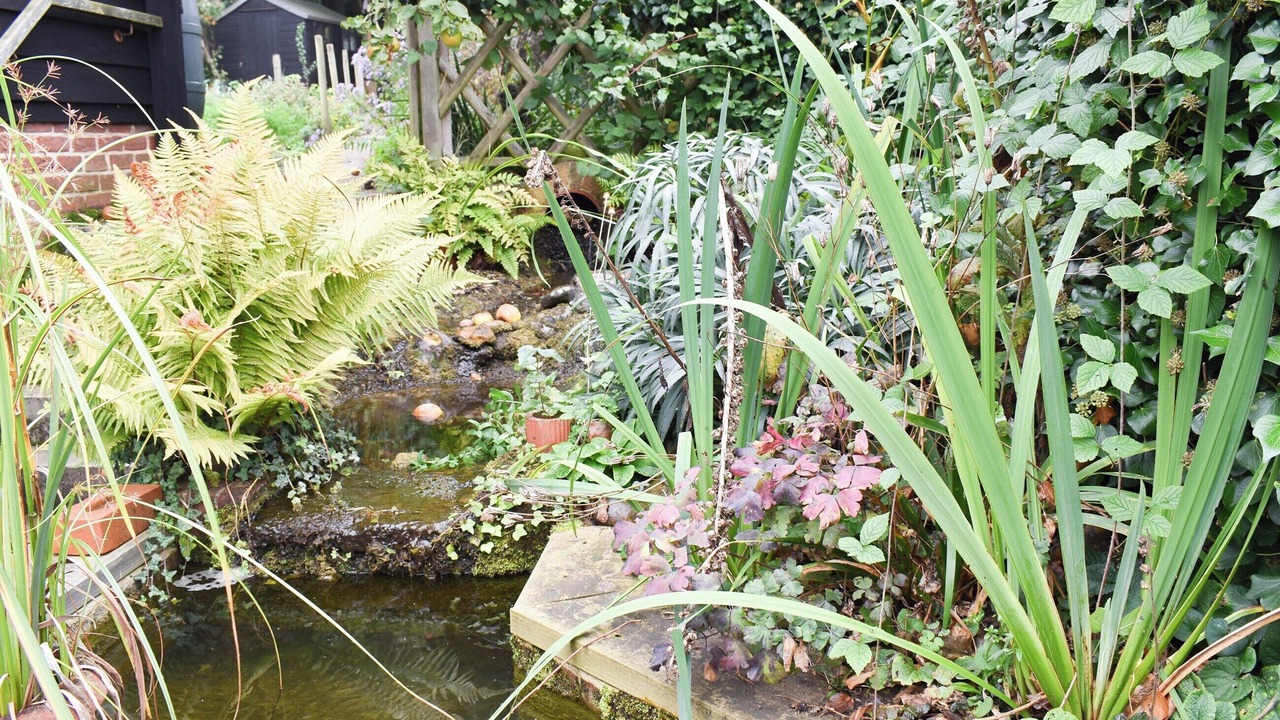 Photo of Outdoor in Sudbury