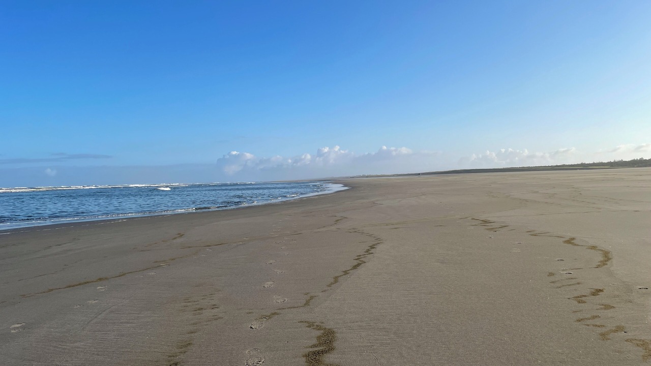 Photo of Others in Seaview