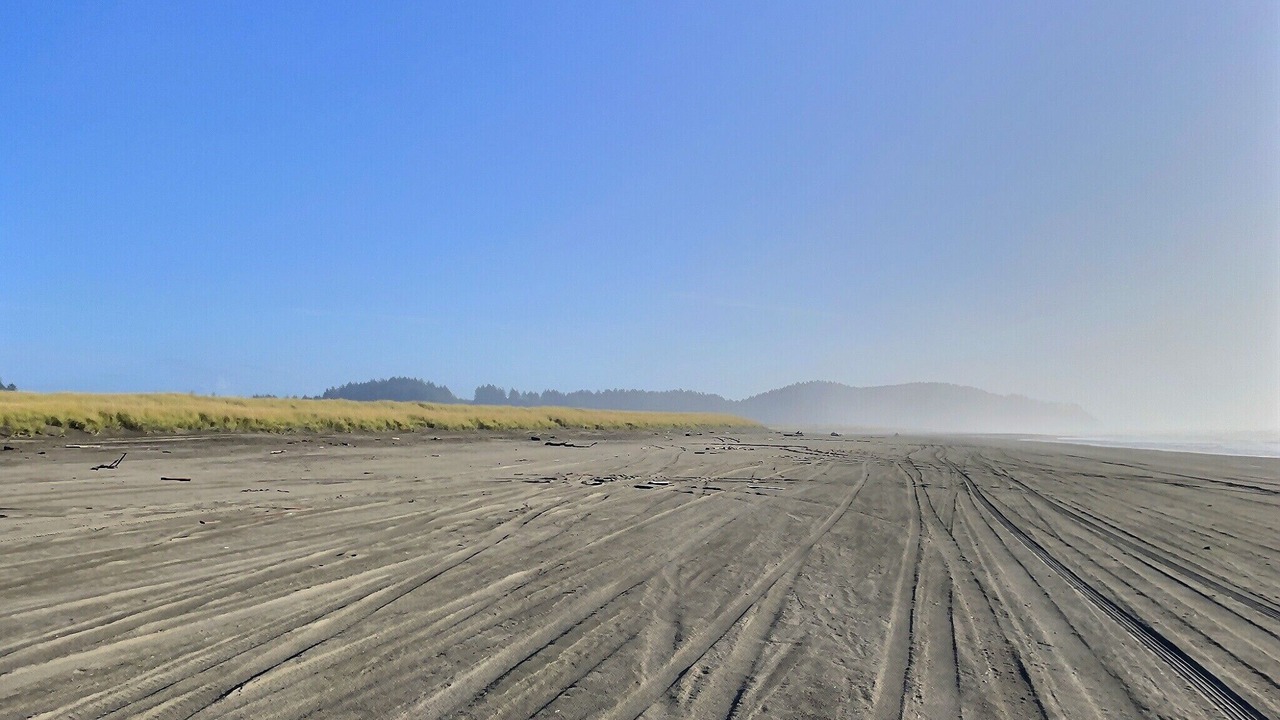 Photo of Others in Seaview