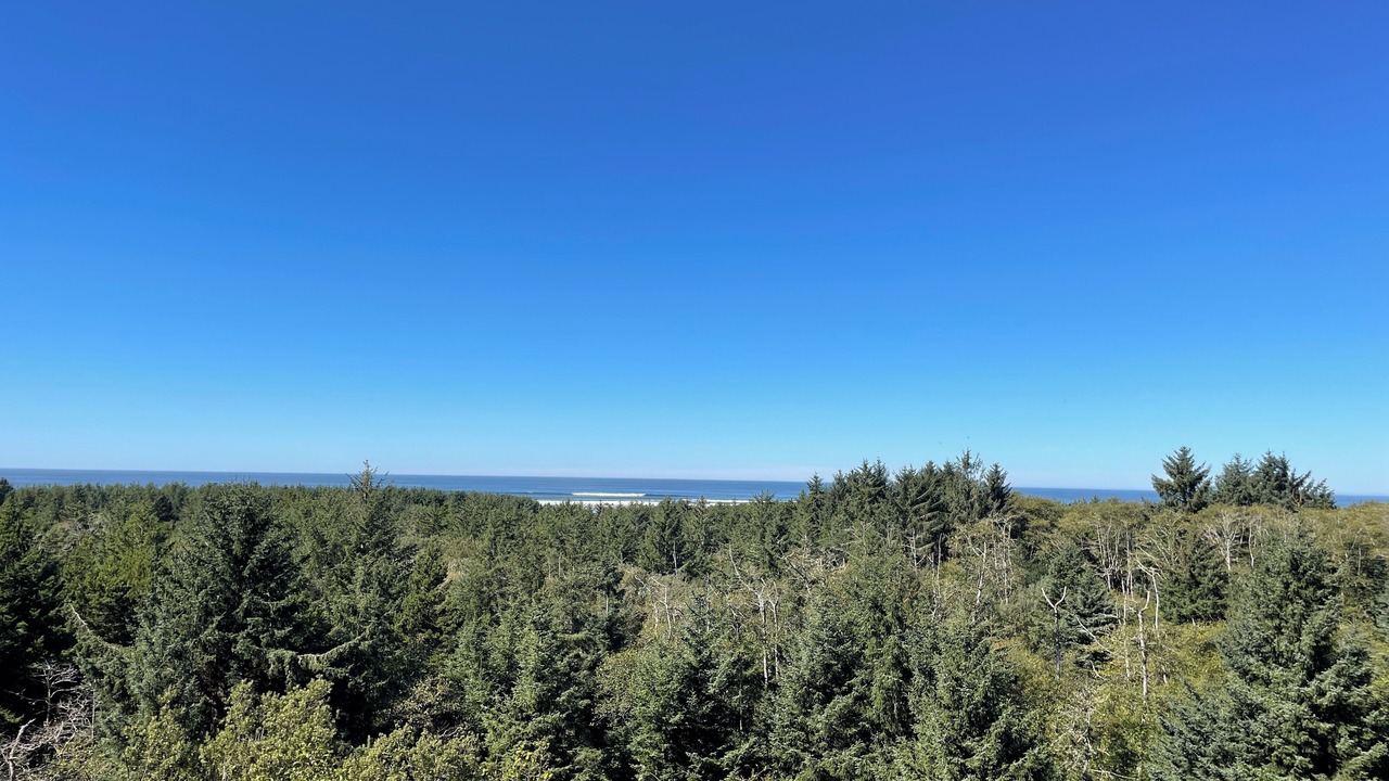 Photo of Others in Seaview