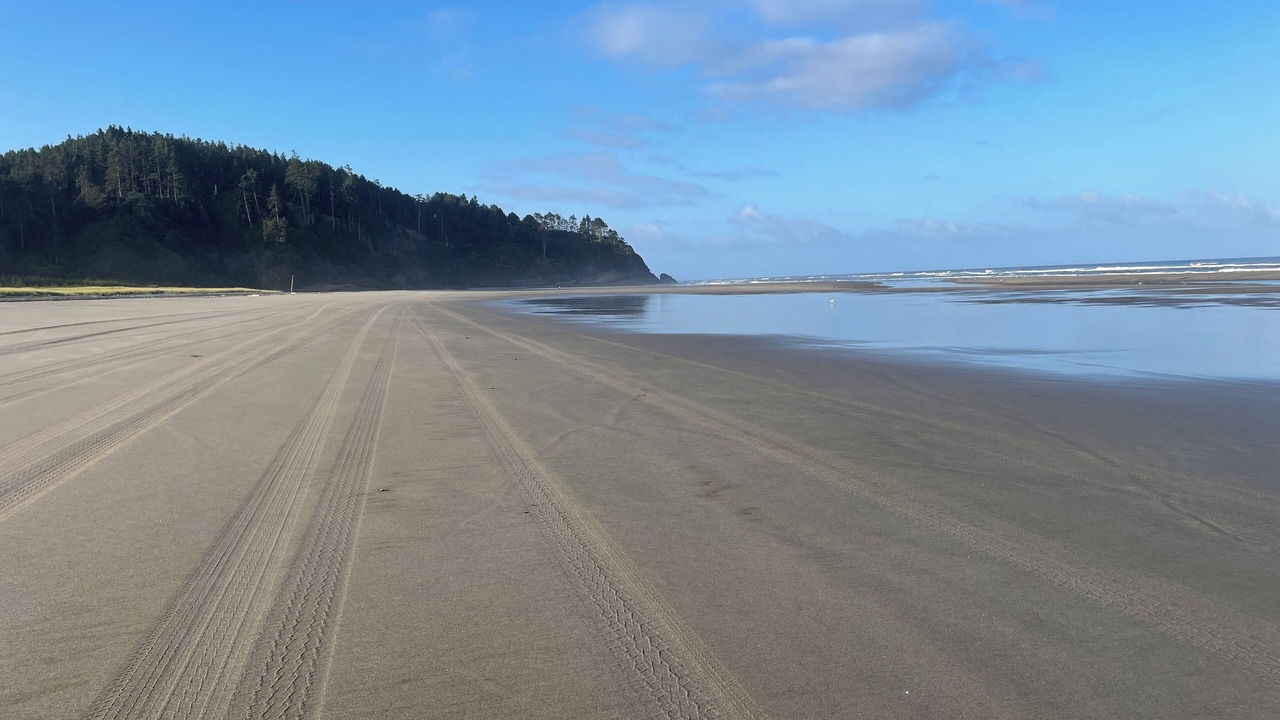 Photo of Outdoor in Seaview