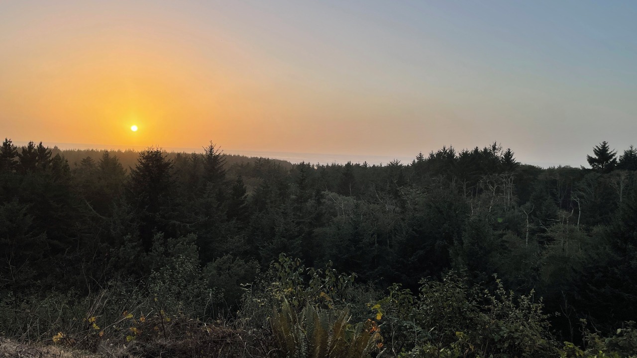 Photo of Outdoor in Seaview