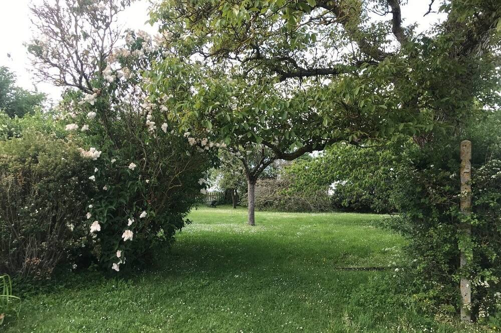 Photo of Outdoor in La Chapelle-Forainvilliers
