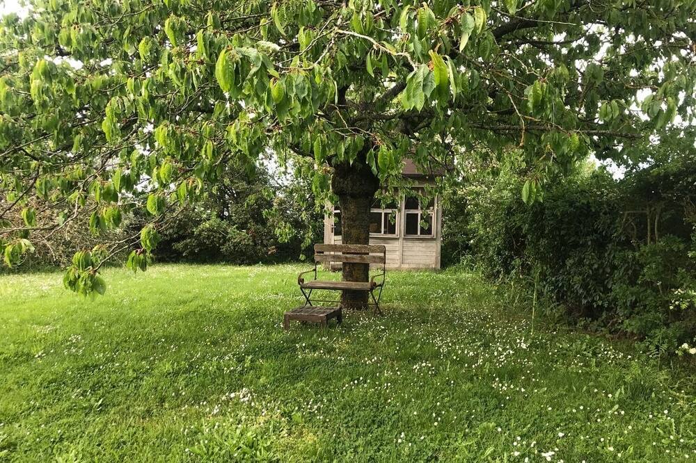 Photo of Outdoor in La Chapelle-Forainvilliers