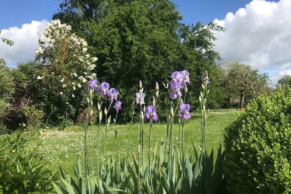 Photo of Outdoor in La Chapelle-Forainvilliers