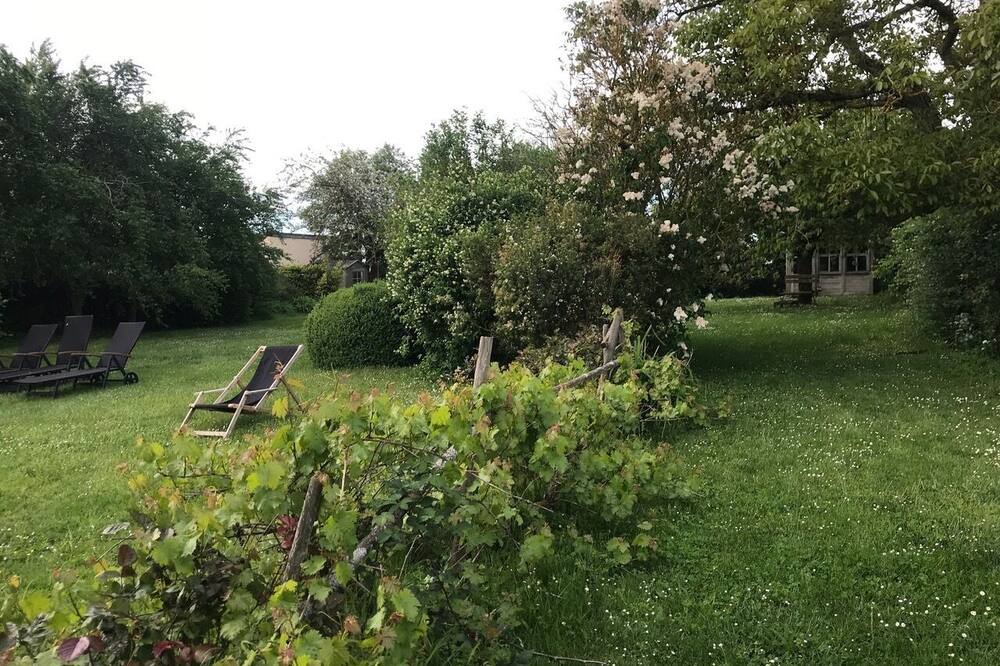 Photo of Outdoor in La Chapelle-Forainvilliers