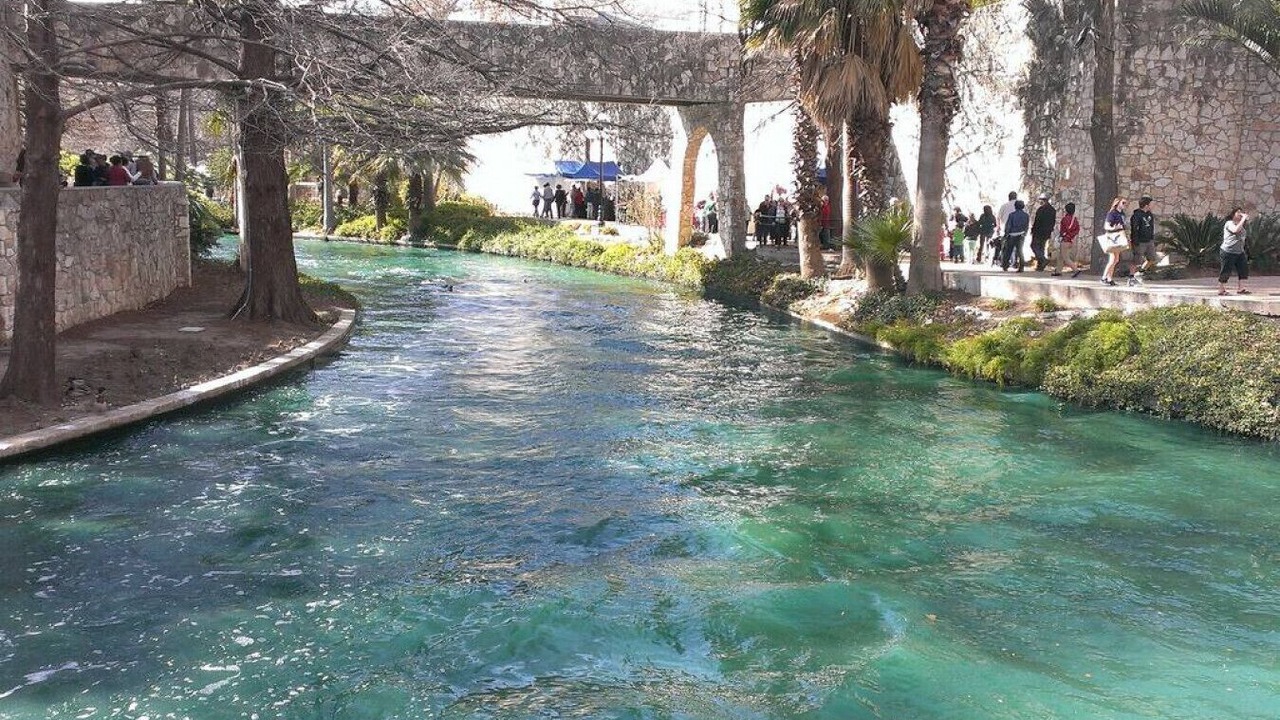 Photo of Others in Mahncke Park