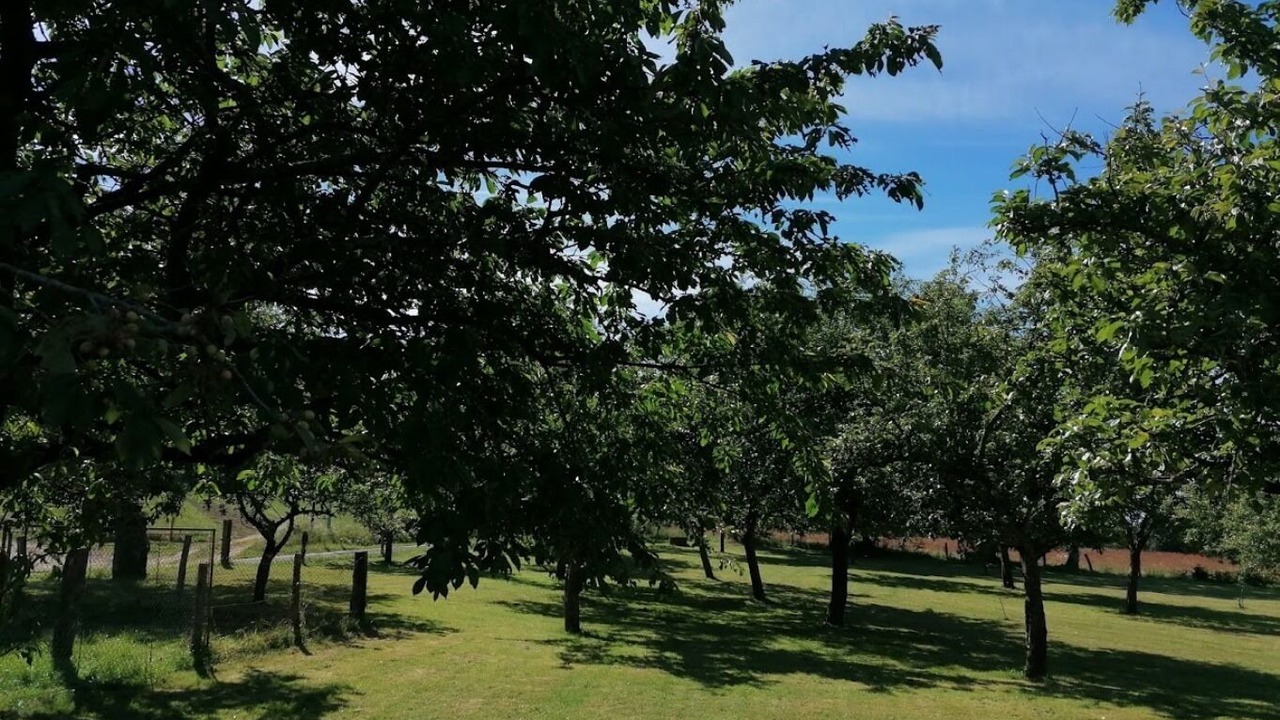 Photo of Outdoor in Hambers