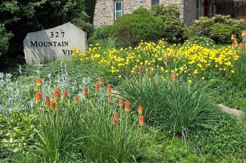 Photo of Outdoor in Donegal