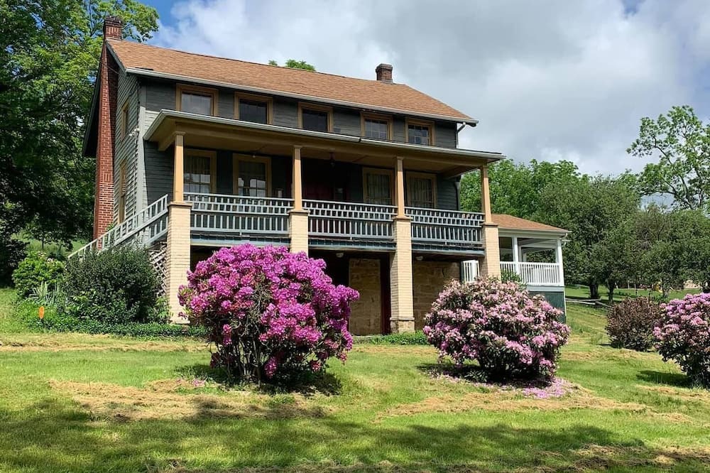 Photo of Others in Donegal