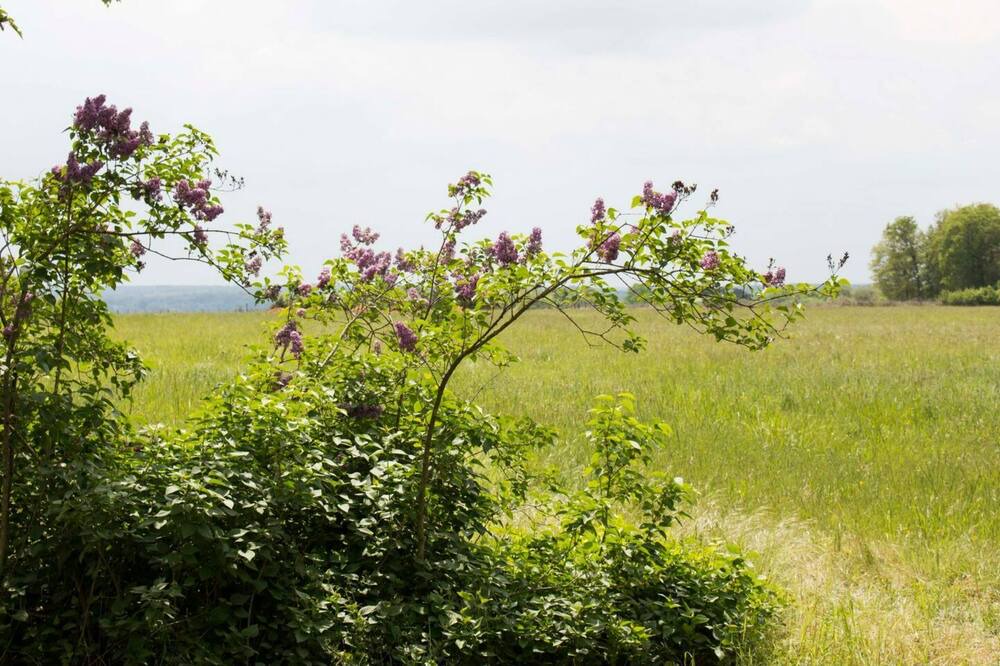 Photo of Outdoor in Noizay