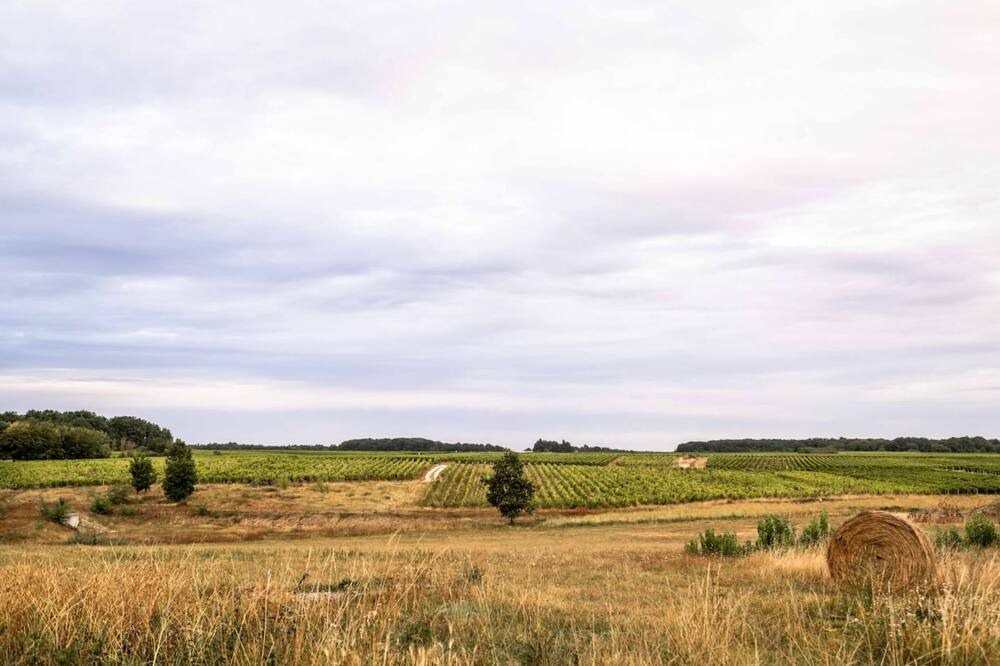 Photo of Outdoor in Noizay