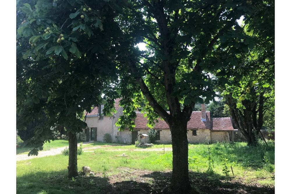 Photo of Outdoor in Noizay